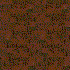 brown013.gif