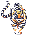 tiger08.gif