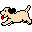 dog1e.gif