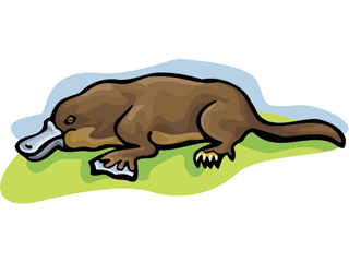 platypus3.gif