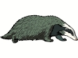 badger.gif