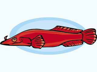 fish104.gif