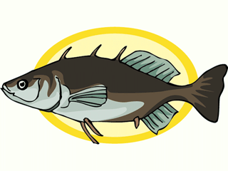 fish119.gif