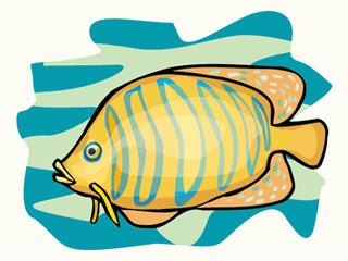 fish205.gif