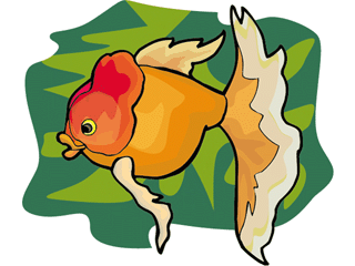 fish208.gif