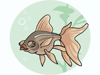 fish228.gif