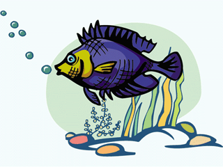 fish24.gif