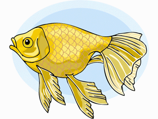 fish48.gif