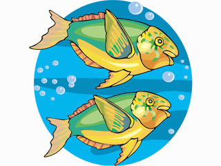 fish62.gif