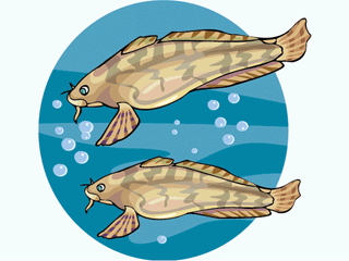 fish95.gif