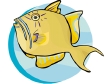 filefish.gif