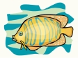 fish205.gif