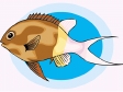 fish46.gif