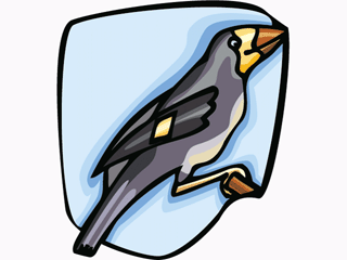 bird90.gif