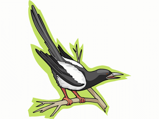 magpie2.gif