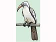 bird95.gif