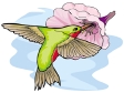 colibri2.gif