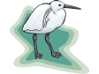 egret.gif