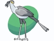 secretarybird.gif