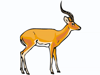 addax3.gif