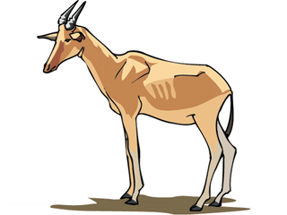 hartebeest.gif