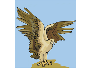 eagle6.gif