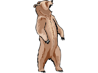 bear17.gif