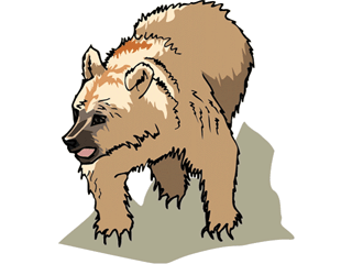 bear9.gif