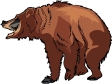 bear16.gif