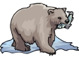 bear2.gif