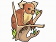 koala5.gif