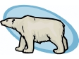 whitebear2.gif