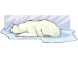 whitebear6.gif