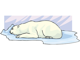 whitebear6.gif