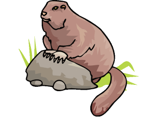 marmot.gif