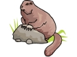 marmot.gif