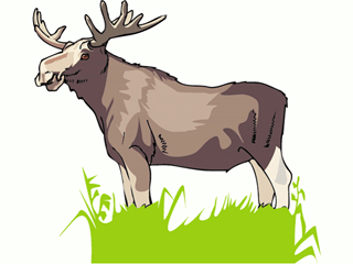 elk.gif