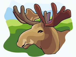 elk2.gif