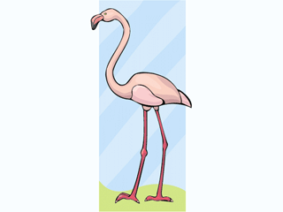 flamingo.gif