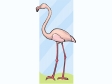 flamingo.gif