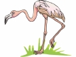 flamingo3.gif