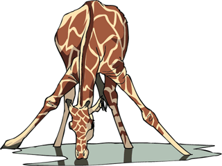 giraffe8.gif