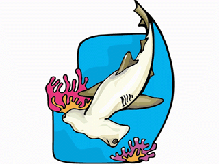 hammerhead2.gif