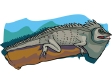 iguana3.gif