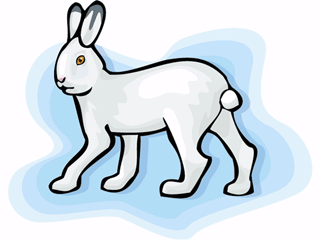 lepus.gif