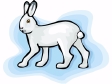 lepus.gif