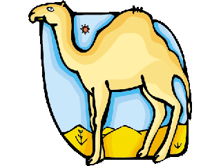 camel.gif