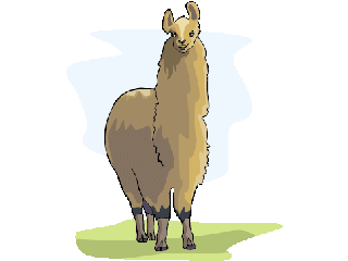 llama02.gif