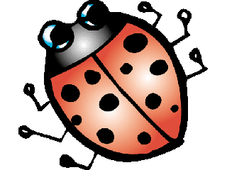 ladybug.gif