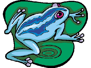 frog24.gif